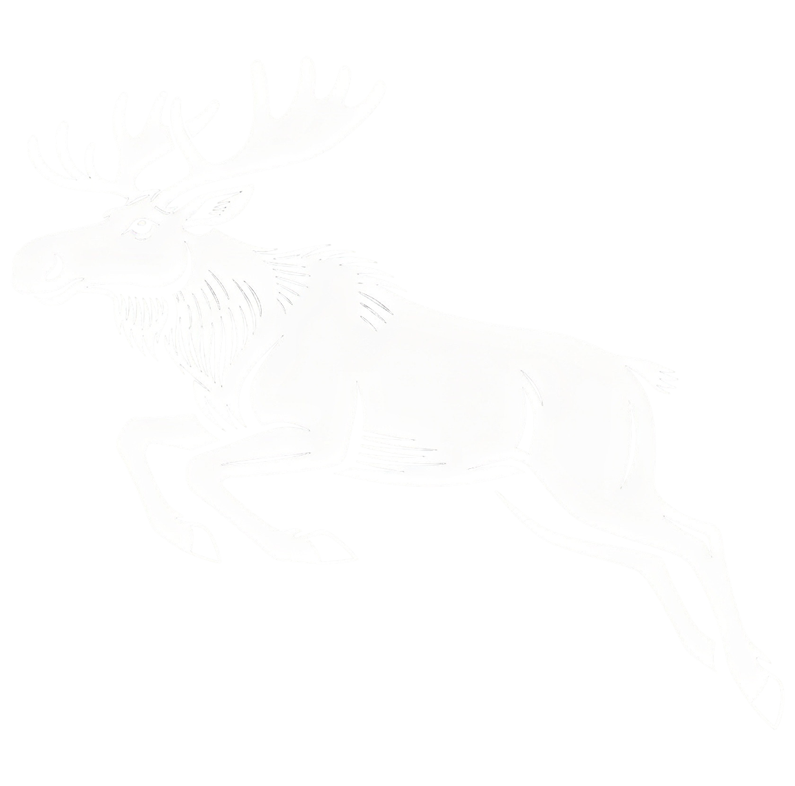 Moose Hunting