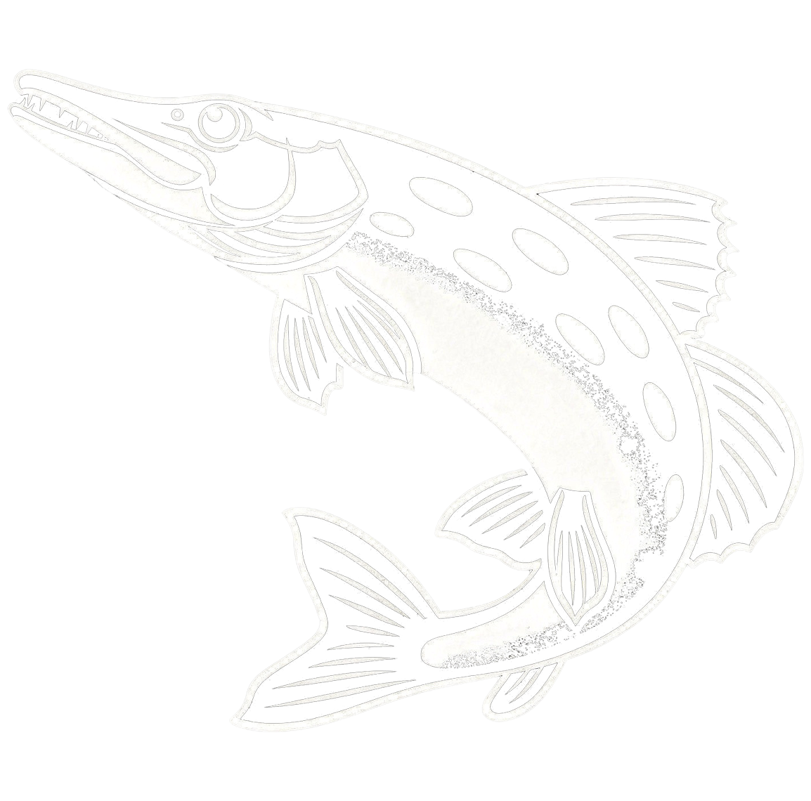 Pike Fishing