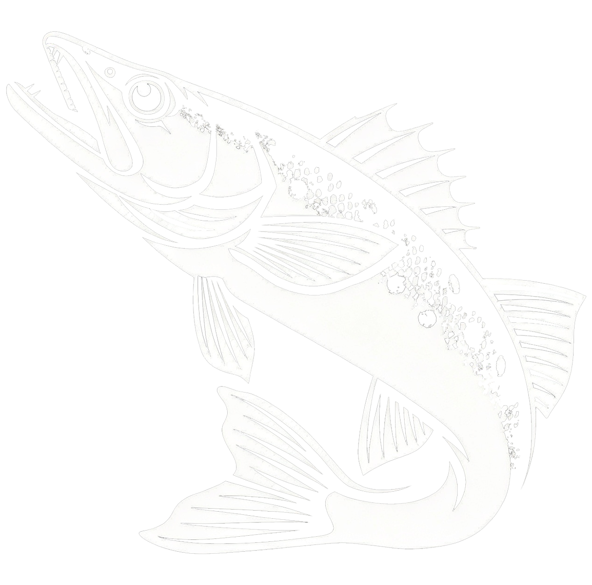 Walleye Fishing